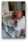 yawn