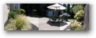 Backyard Pan