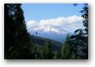 Mt Shasta